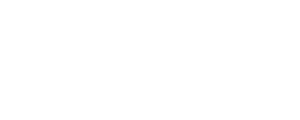 BlomViz